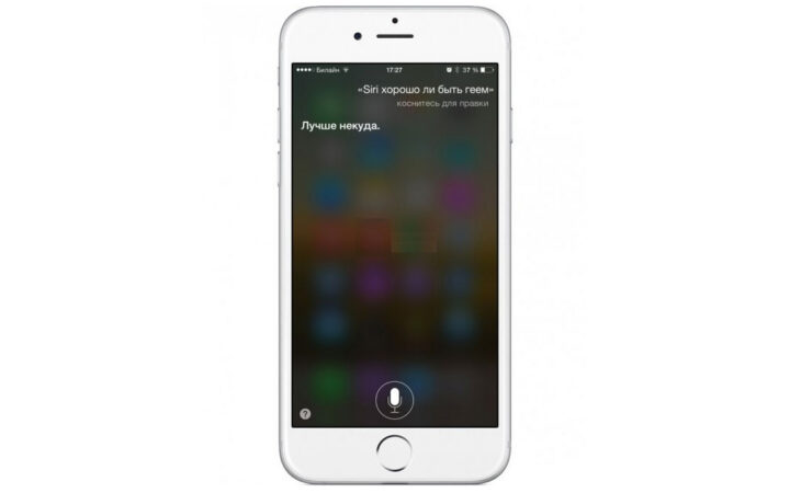 Русскоговорящий электронный помощник Siri полагает, что геем быть хорошо