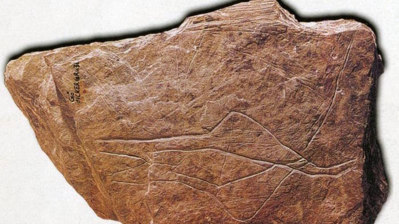 7a8b0b38b0ebe9e116c7445b303f223350576330