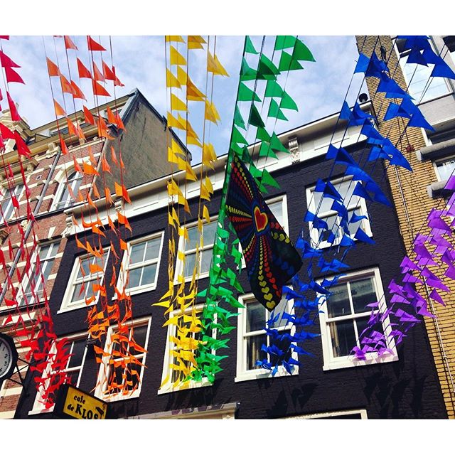 13687186_1342043399179695_1372631100_n