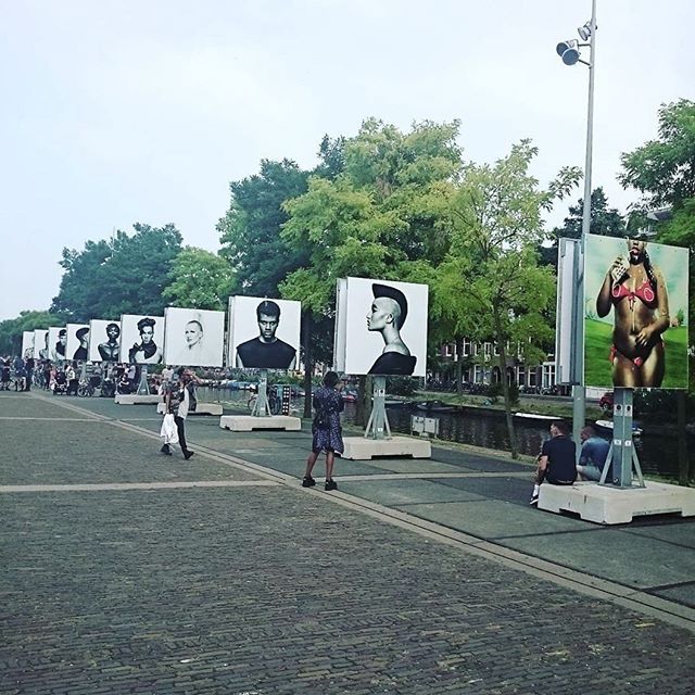 13703049_895669940566452_818293127_n