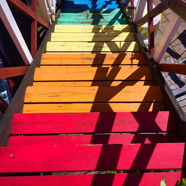 13712193_1627583187552476_812668761_n