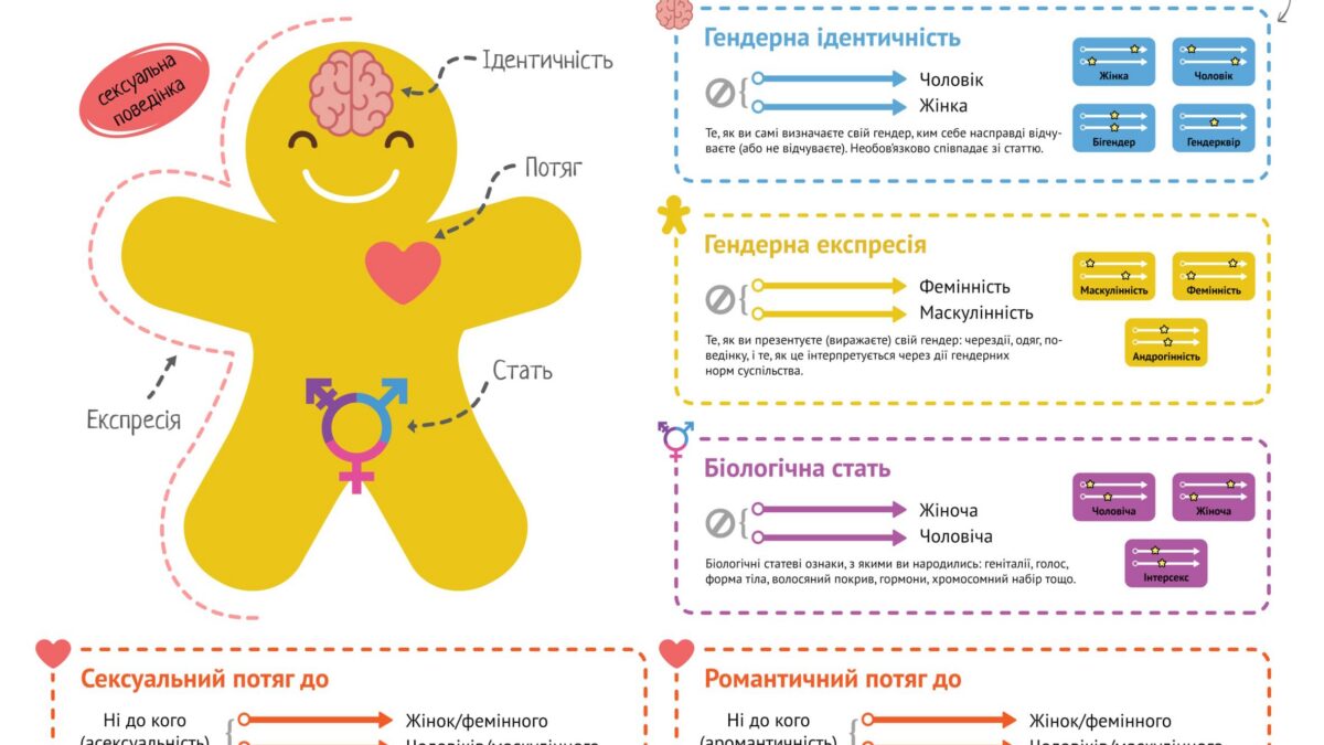 Яркие шпаргалки. Информационные карточки по Соги
