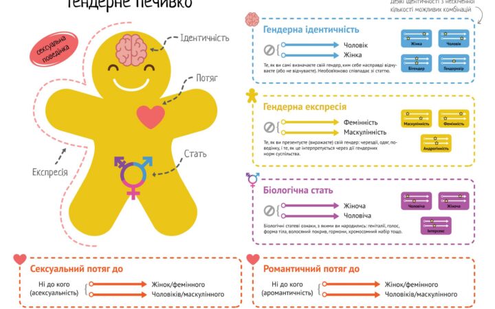 Яркие шпаргалки. Информационные карточки по Соги