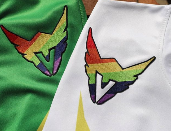 Команда Los Angeles Valiant по Overwatch поможет ЛГБТ-движению