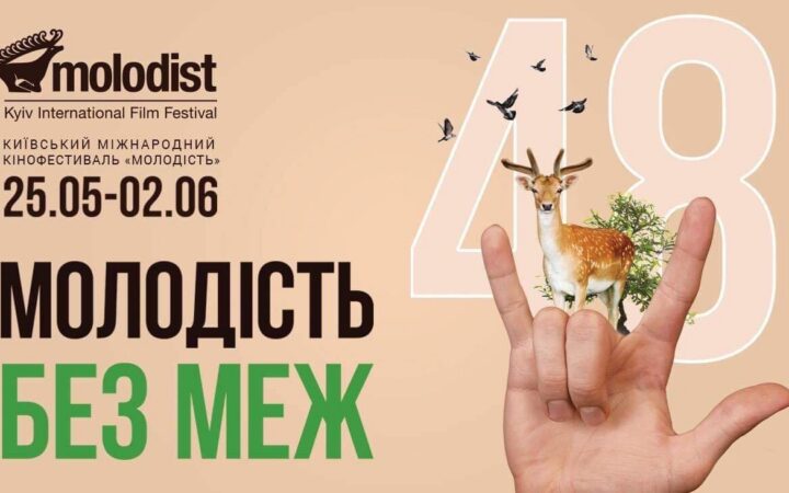 «Sunny Bunny» и квир-кино на 48-м КМКФ «Молодость»