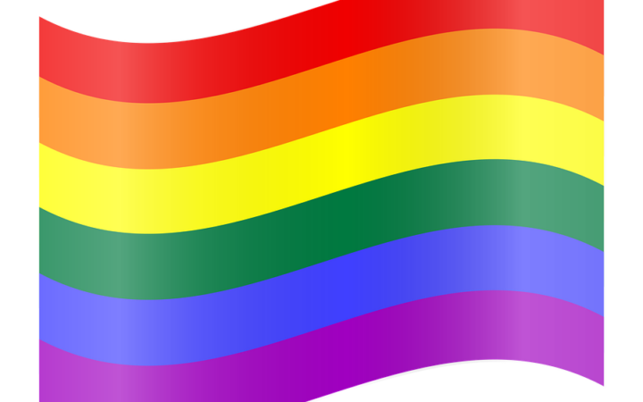 Крупнейшая британская ЛГБТ-организация Stonewall раскололась из-за прав женщин и детей