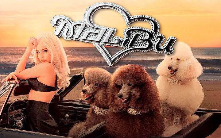 Лето все-таки будет?! Ким Петрас представила сингл “Malibu”