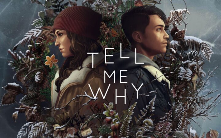 Игра про трансгендера Tell Me Why стала недоступна в российском Steam