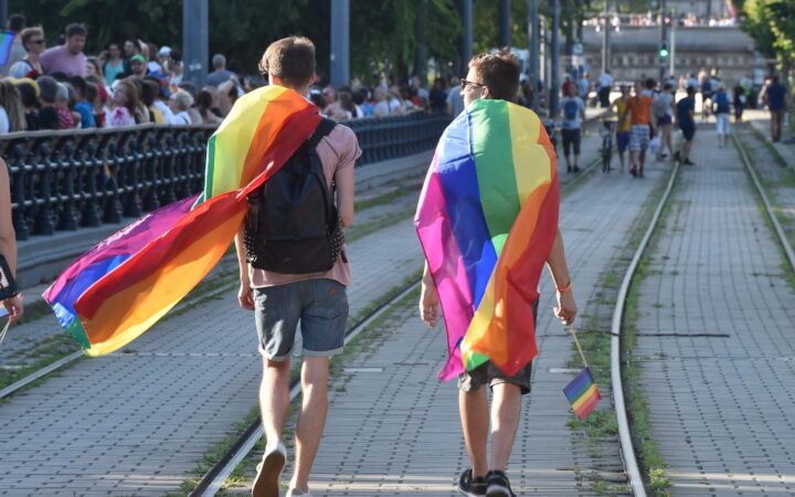 В Венгрии изменили конституцию и фактически запретили однополым парам усыновлять детей. Правозащитники возмущены