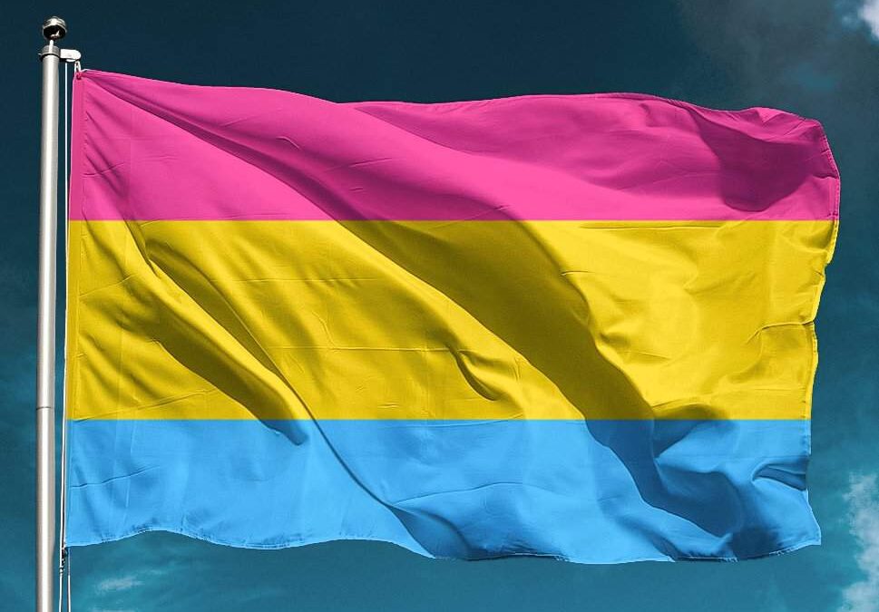 День видимости пансексуалов