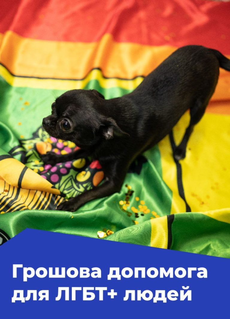 Грошова допомога для ЛГБТ+ людей зі Сходу України від KharkivPride