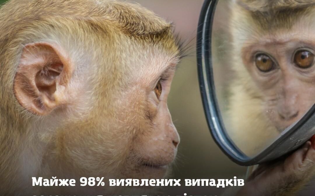 Майже 98% виявлених випадків зараження мавпачою оспою припадають на ЧСЧ