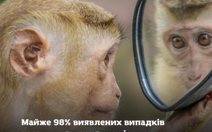 Майже 98% виявлених випадків зараження мавпачою оспою припадають на ЧСЧ