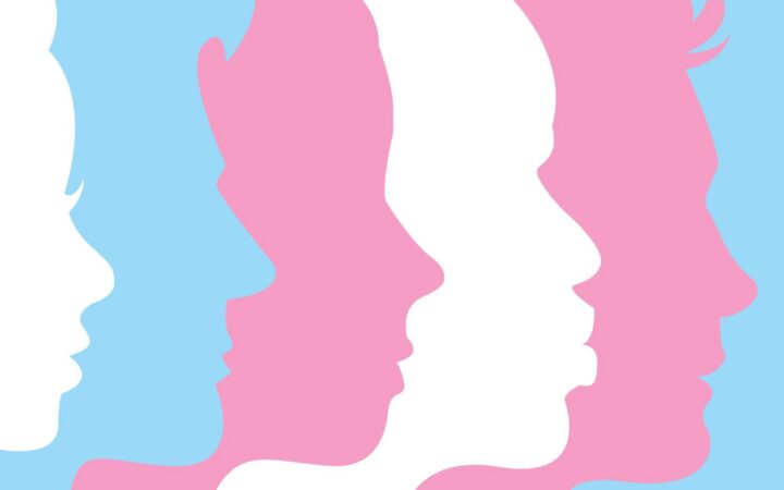 Листопад — Transgender Awareness Month: словник термінів