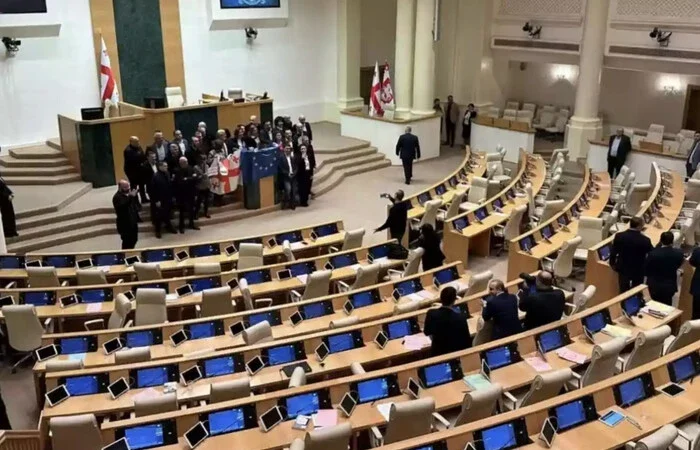 Рада Європи закликала Грузію утриматися від ухвалення закону про «сімейні цінності»