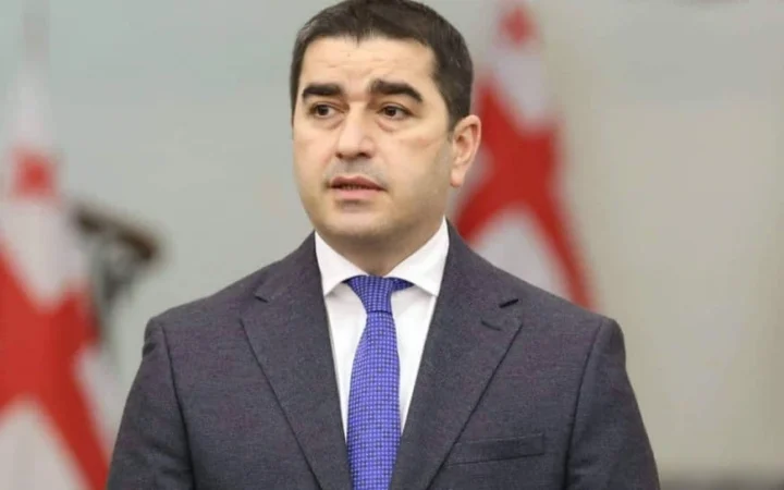 Спікер парламенту Грузії підписав закони проти «ЛГБТ-пропаганди»