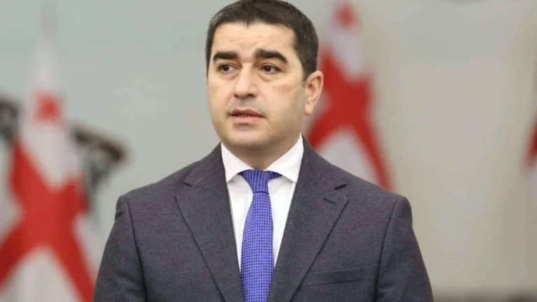 Спікер парламенту Грузії підписав закони проти «ЛГБТ-пропаганди»