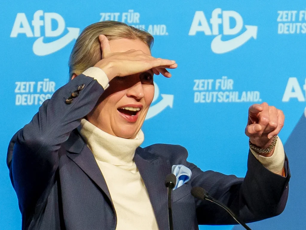 У Німеччині більшість геїв хочуть голосувати за AfD
