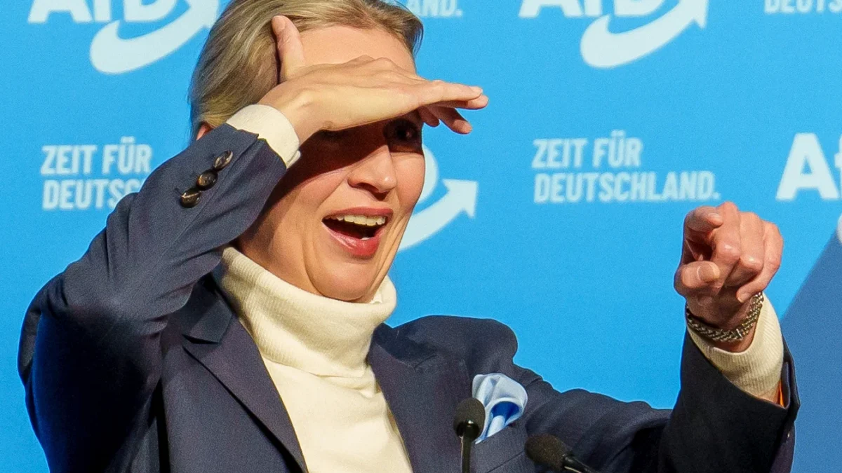 У Німеччині більшість геїв хочуть голосувати за AfD