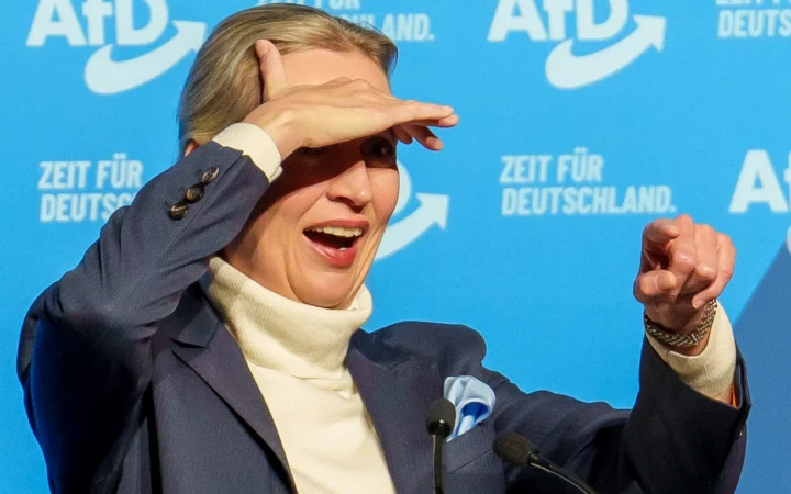 У Німеччині більшість геїв хочуть голосувати за AfD
