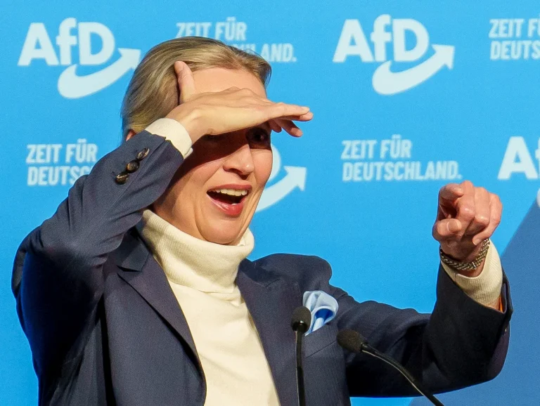 У Німеччині більшість геїв хочуть голосувати за AfD