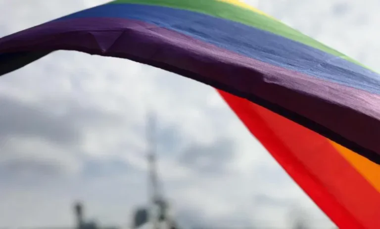 Комітет міністрів Ради Європи закликав скасувати анти-ЛГБТ закон у Грузії